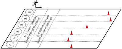 Effect of eight-week high-intensity interval training versus moderate-intensity continuous training programme on body composition, cardiometabolic risk factors in sedentary adolescents